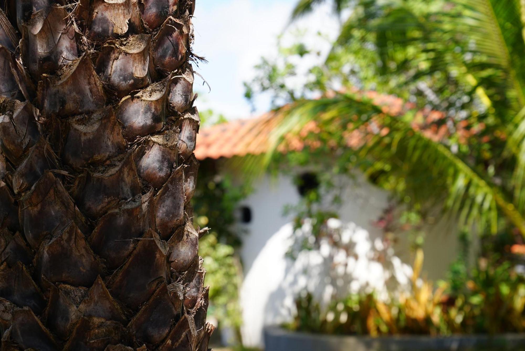 La Ferme De Georges Casa de hóspedes Atins Exterior foto