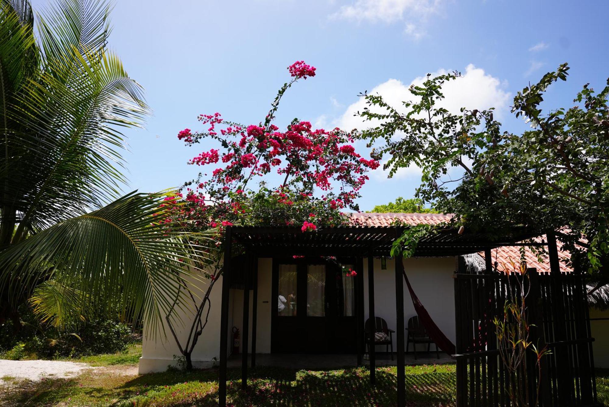 La Ferme De Georges Casa de hóspedes Atins Exterior foto